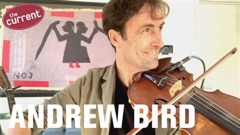 Andrew Bird Hearing - Newent